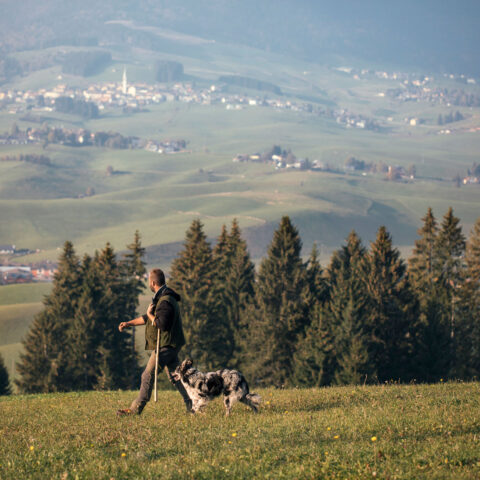 Asiago