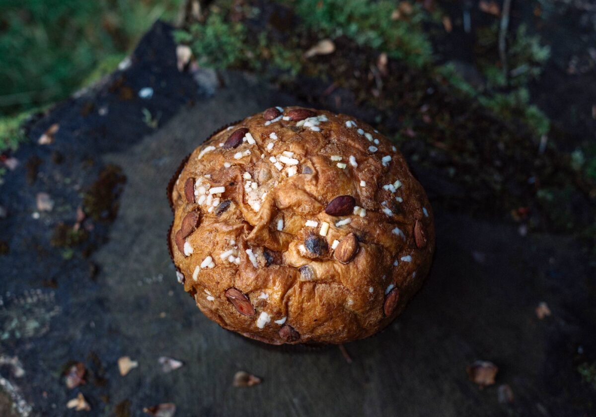 panettone_autunnale_KEPLE2