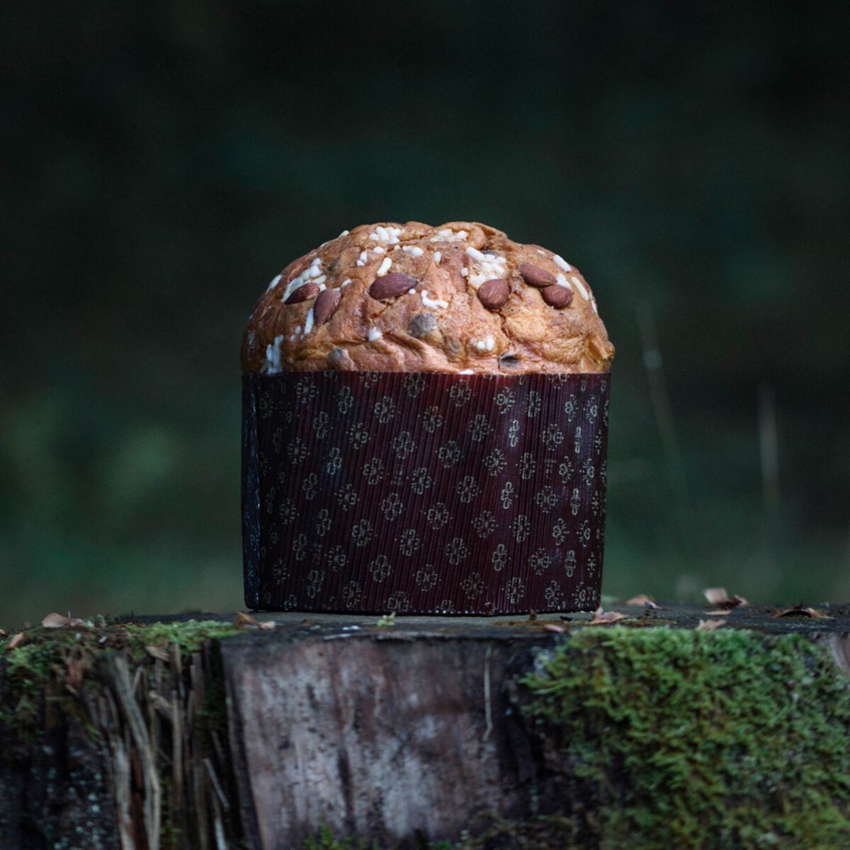 panettone_autunnale_KEPLE3